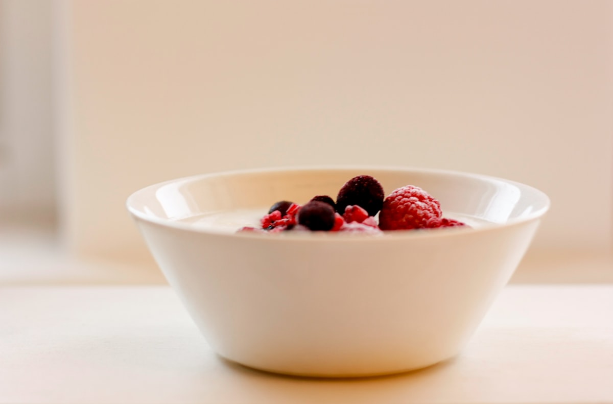 Alimentos fermentados para probióticos